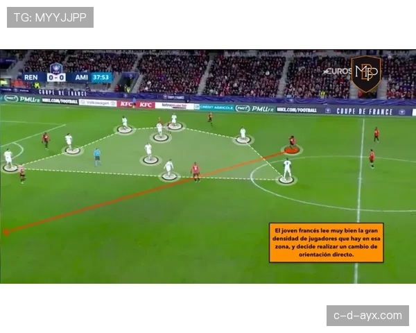 卡马文加崛起成法国队中场核心，助力国家队竞争力稳步提升
