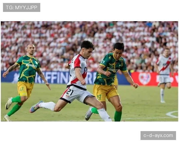 巴列卡诺新援加盟引热议，球队战力提升前景可期