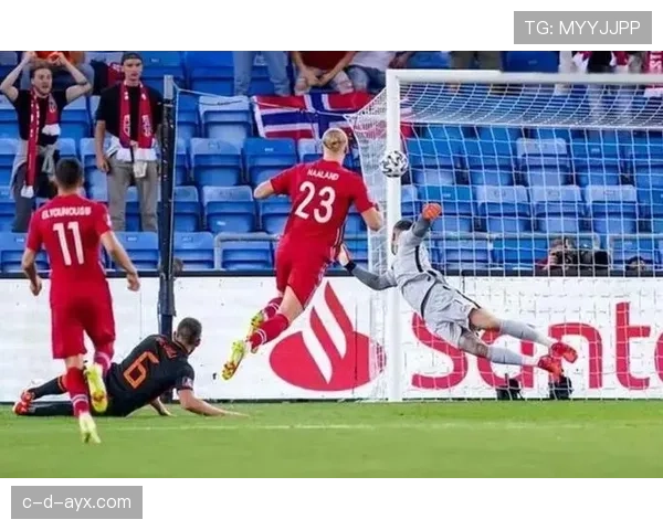 哈兰德脚踝伤势对2024年赛事前景产生影响，球队备战面临挑战