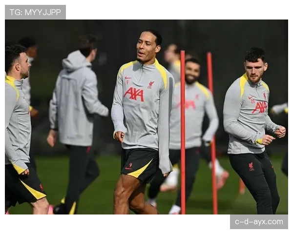 南安普顿本赛季冲击欧战资格表现稳健