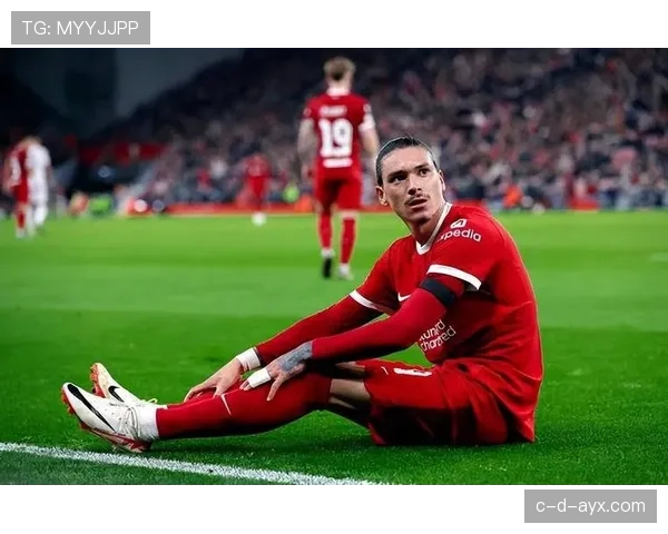 努涅斯 vs 哈兰德：效率与冲击型中锋的差距分析